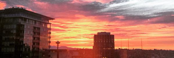 mireknowak Profile Banner