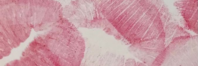 Hanniaglr's profile banner image