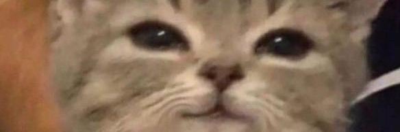 Adyy_loser's profile banner image