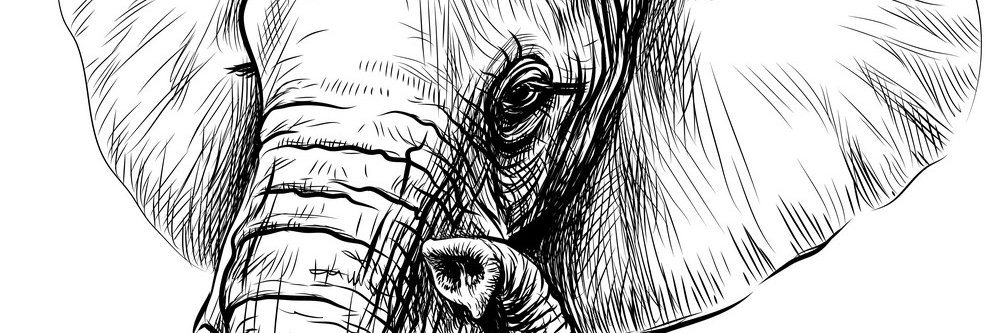 PlubenBenko's profile banner image