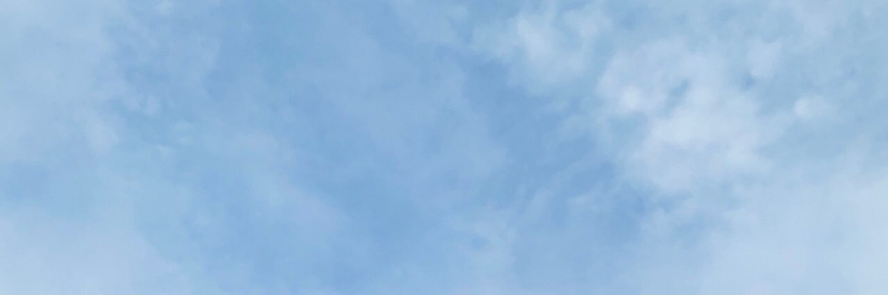 barebears22's profile banner image