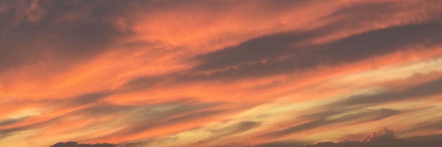 Aynur_Sezer's profile banner image