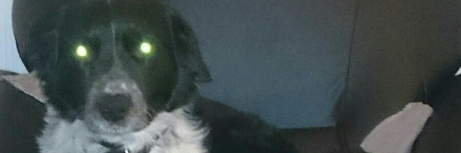 mikecooke321's profile banner image