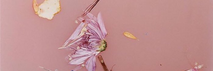 KD14097's profile banner image