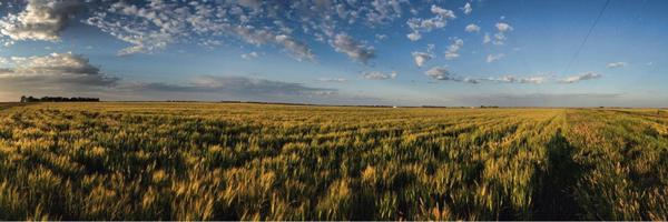 vff_yaps Profile Banner