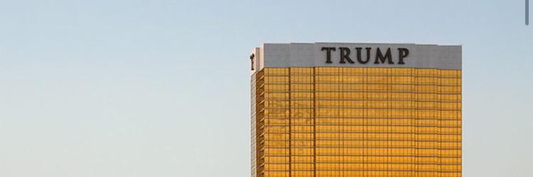 kiwitrump's profile banner image