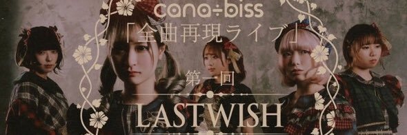 rinottijp_'s profile banner image