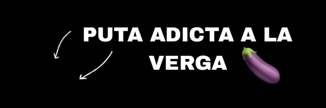 soficitatrans's profile banner image