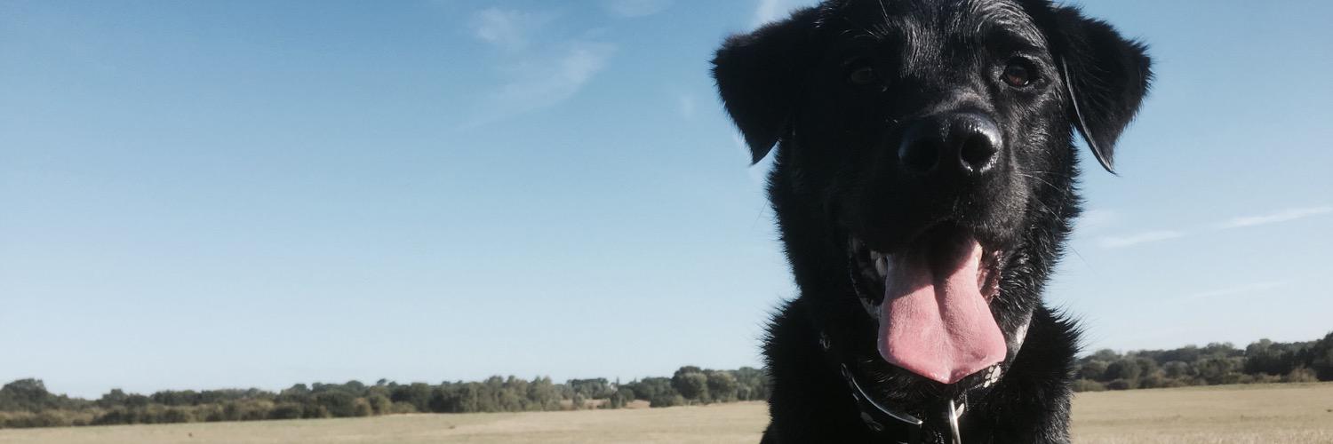 PoshKathryn's profile banner image
