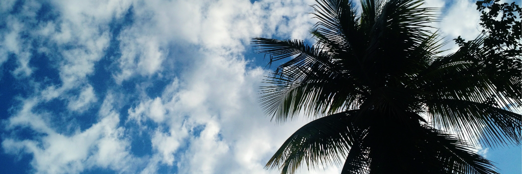 floorizzy's profile banner image