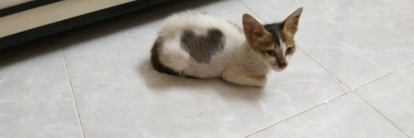 BrightDays19 Profile Banner