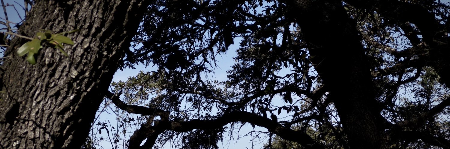 sjbarras's profile banner image
