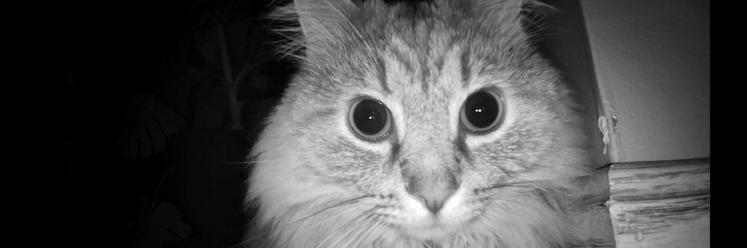 Leslie Uchiha banner