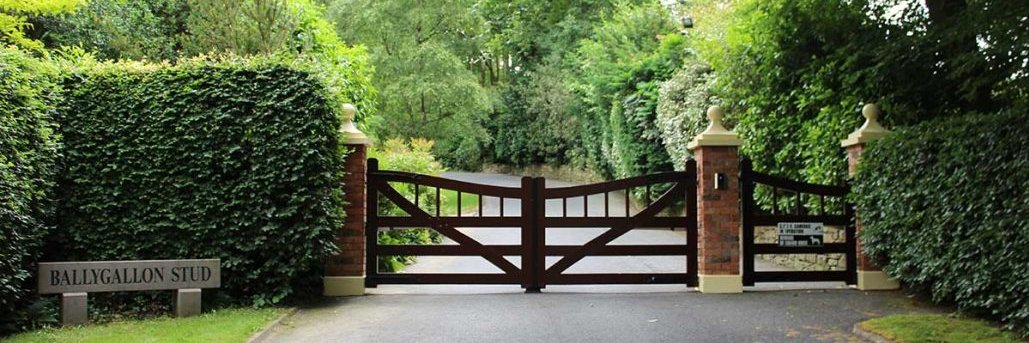 BallygallonStud's profile banner image