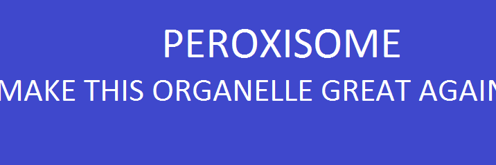 Perox4President's profile banner image