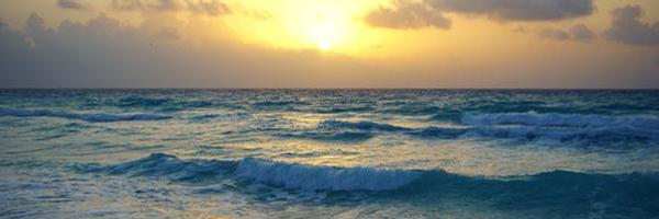 DiamondWhite__ Profile Banner