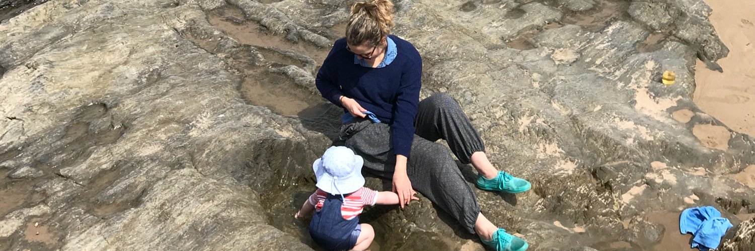 Sian Ward-Edwards banner