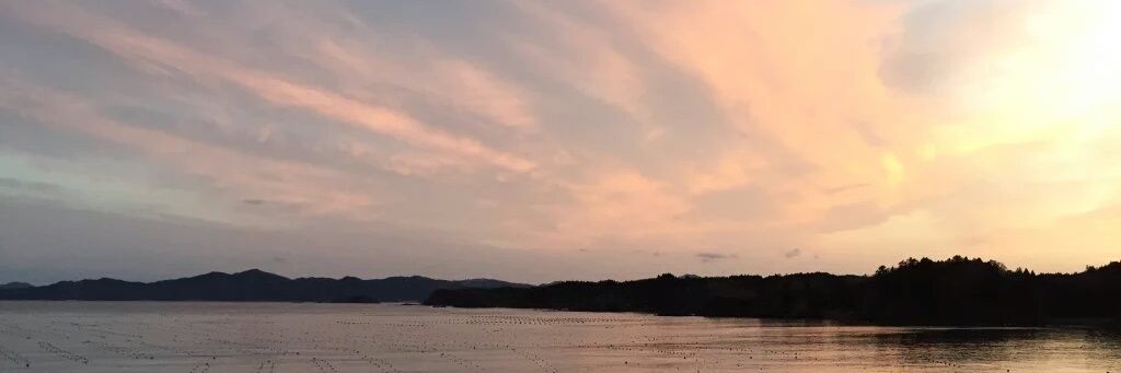 masaco53's profile banner image