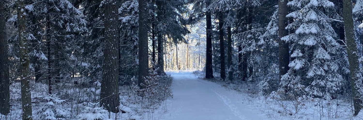 lisafikaaa's profile banner image