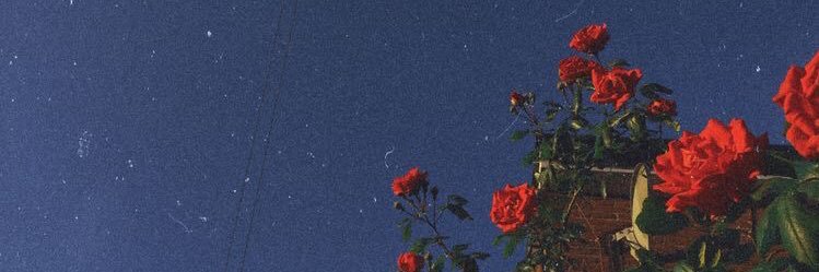 Miss_Kimbles's profile banner image