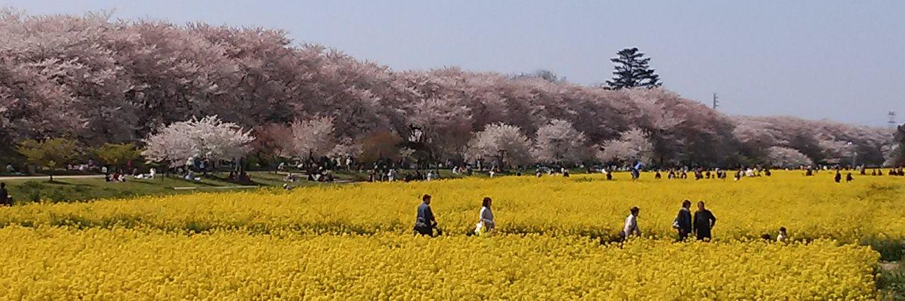 幸手の人【バス釣り】 banner