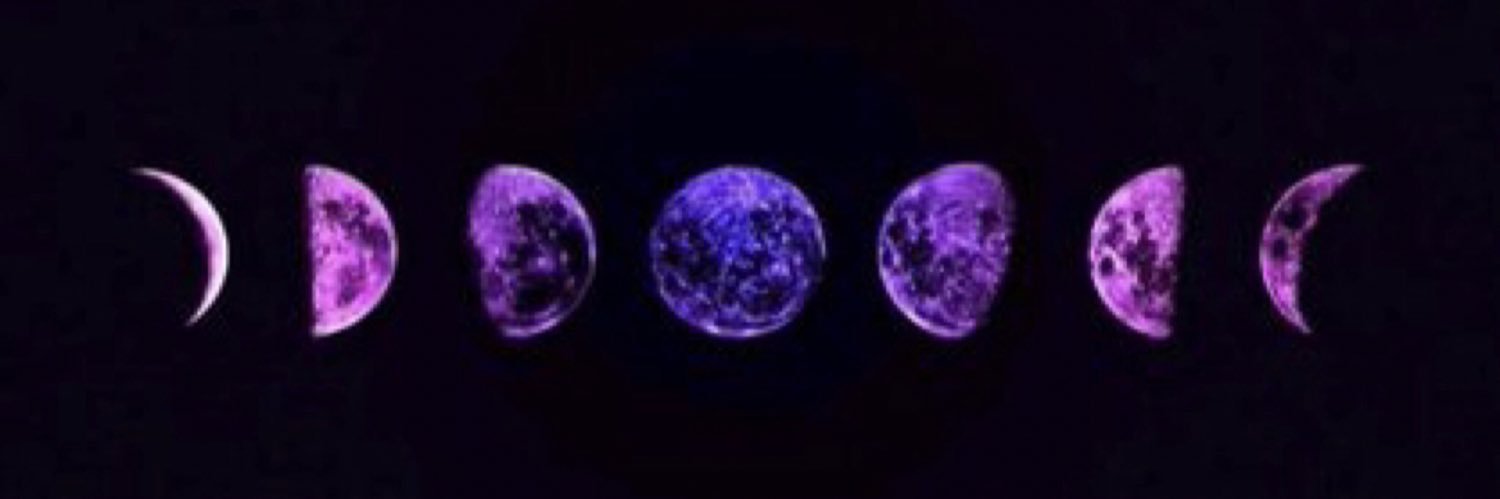 WildFreeSpirit_'s profile banner image