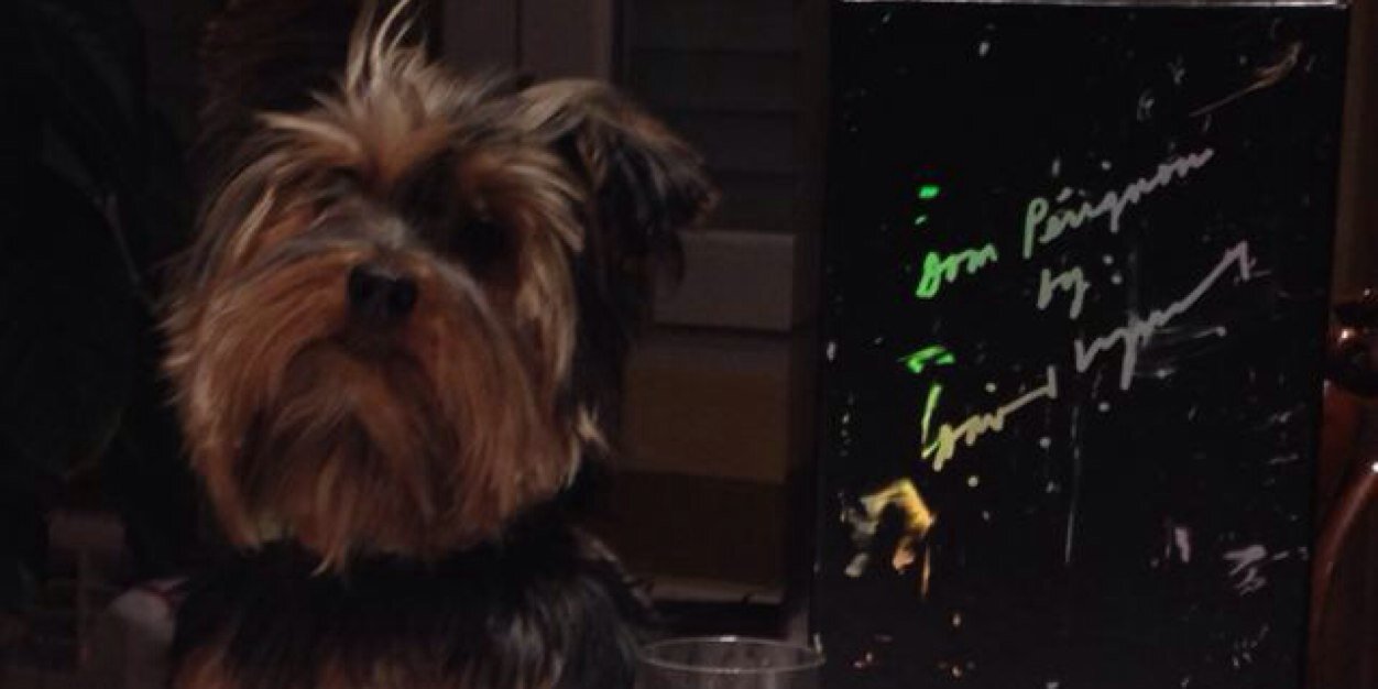 Fer__Sanz_'s profile banner image