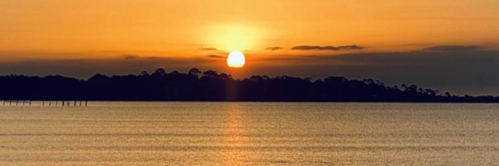 ldlpepper's profile banner image