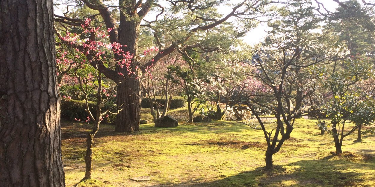 kagoood's profile banner image
