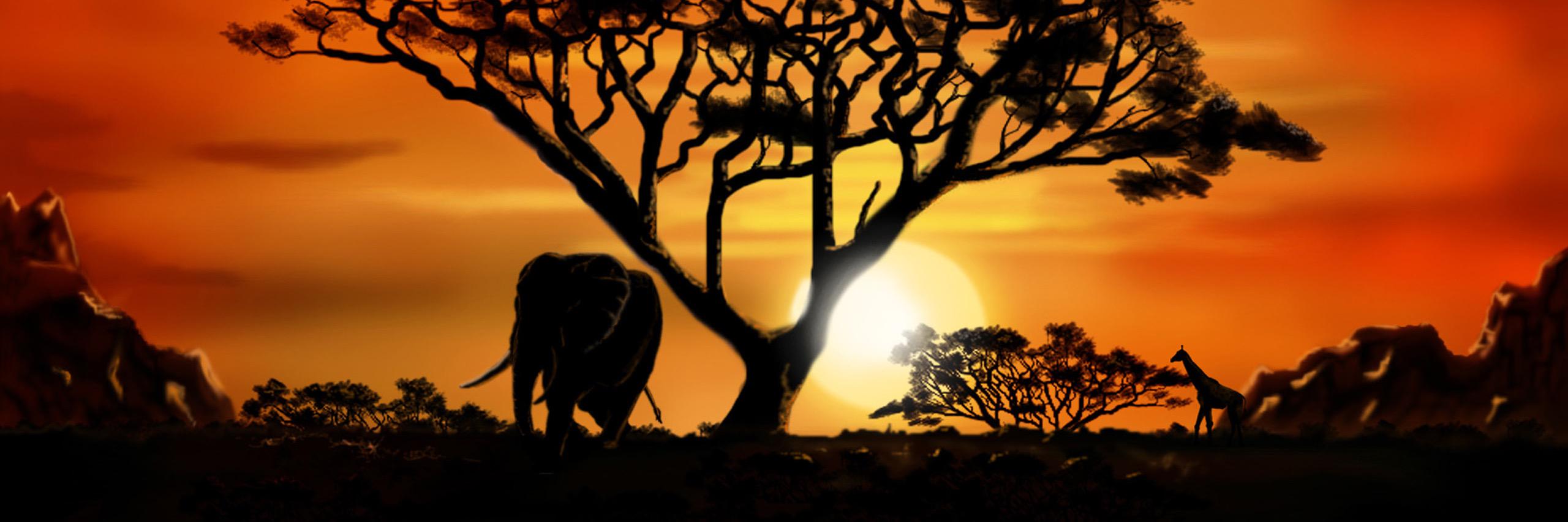 MonAfrikTV's profile banner image