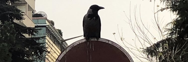 Hasanunal6's profile banner image