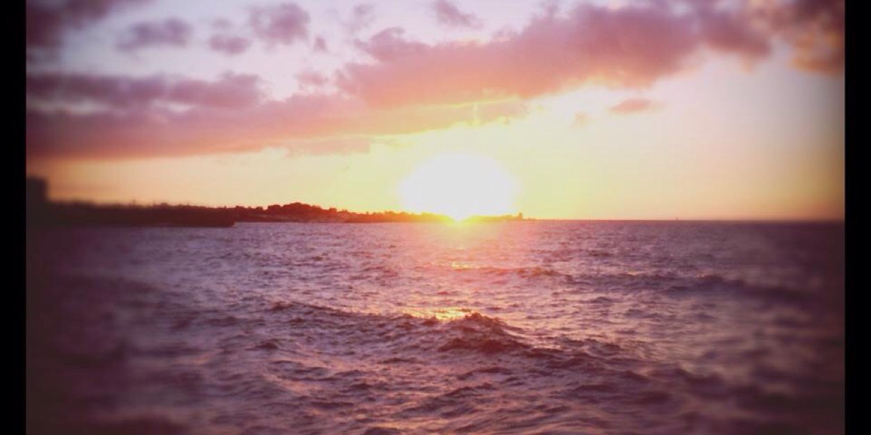 edel_fitzgerald's profile banner image