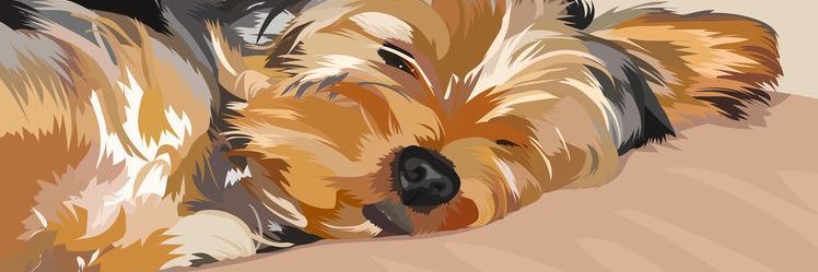 lyfasalinas's profile banner image