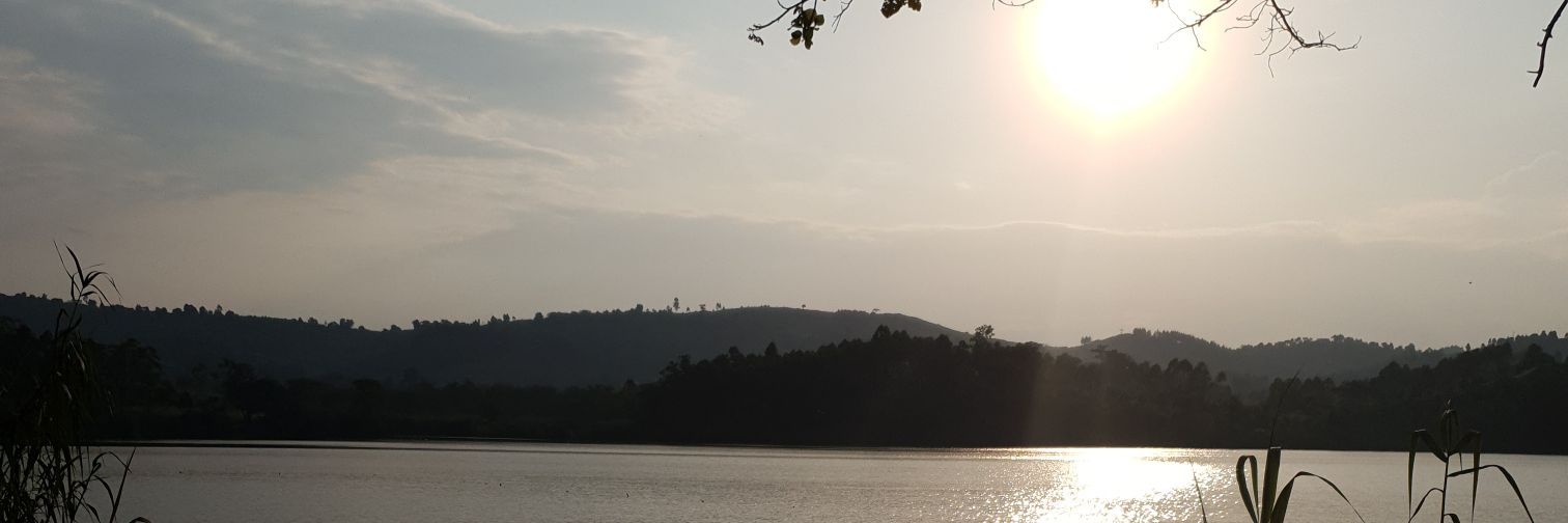 TONYNA84's profile banner image