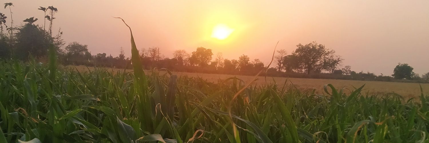 Ingales710's profile banner image