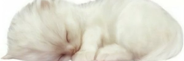 ribbonbraid Profile Banner