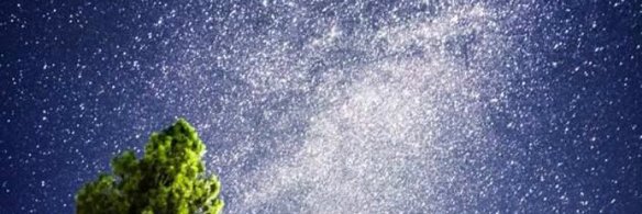 Barbara Jaccoma banner