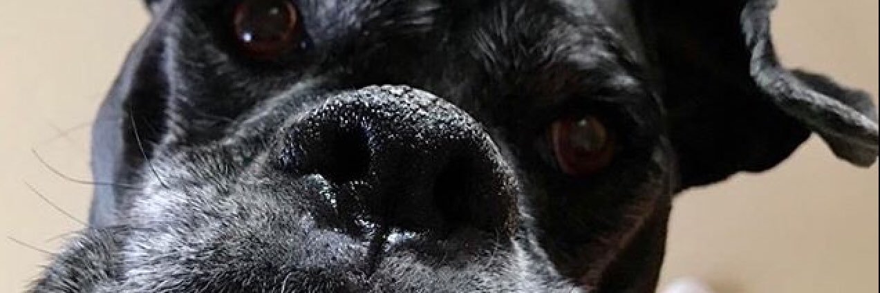 dagobru95's profile banner image