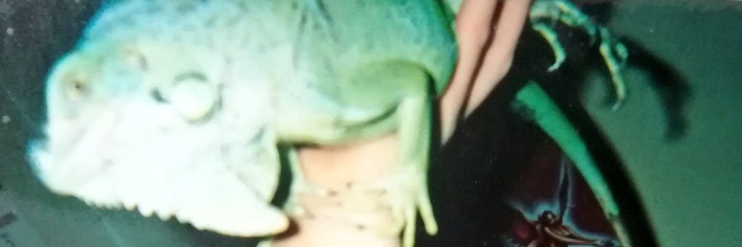 arigatooooon's profile banner image