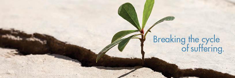 Trauma Recovery banner