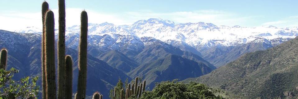 AsocParques's profile banner image