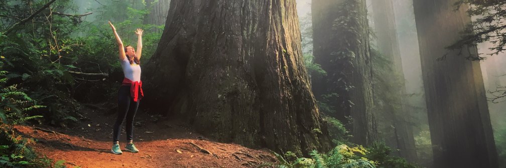 Diana Plasker (she/her) banner