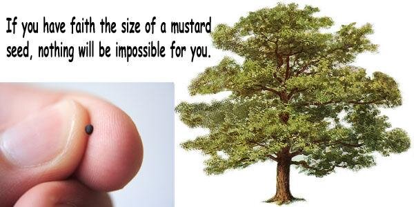 1st_African's profile banner image