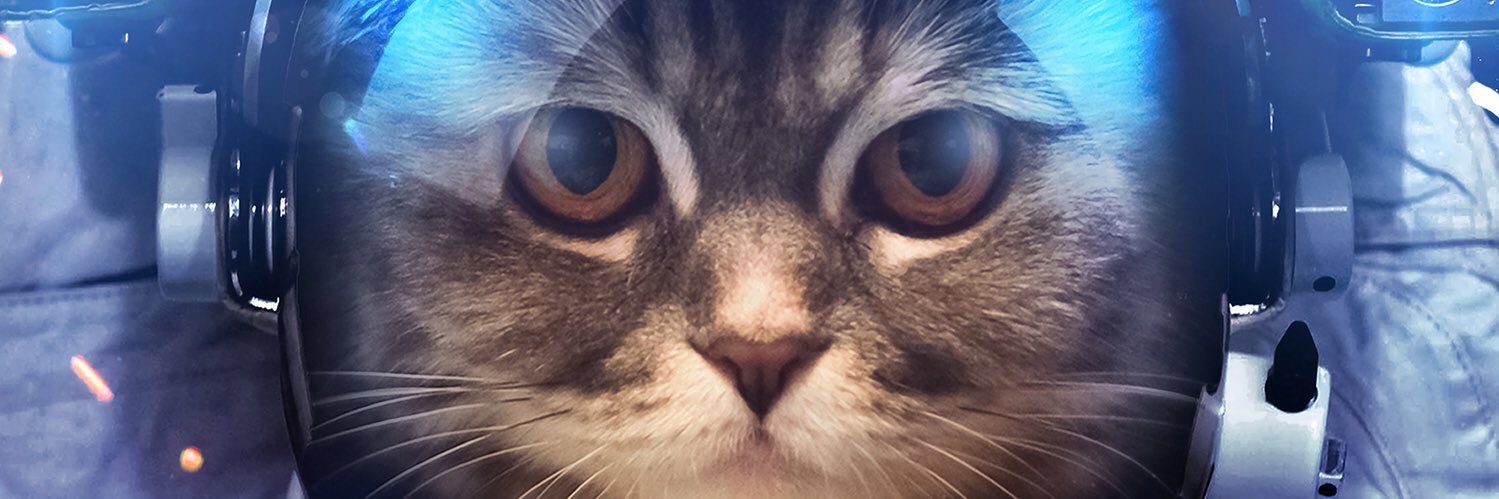 Kuntry_229's profile banner image