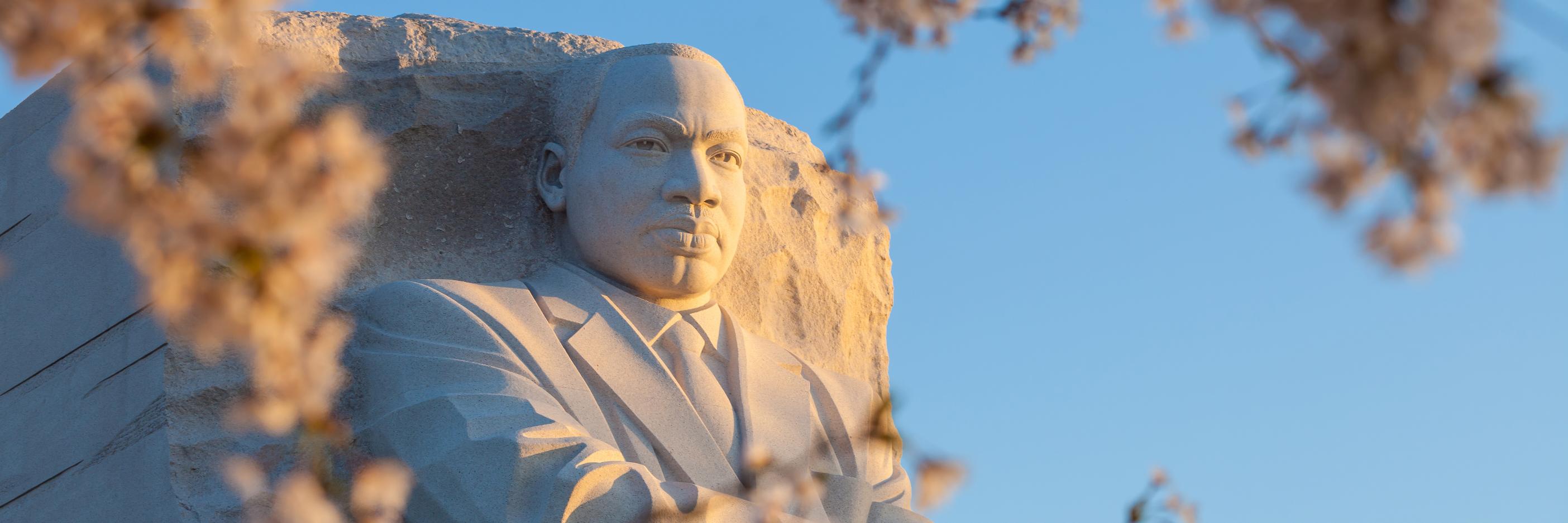 OCNAACP's profile banner image
