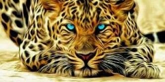 Suugaarrr's profile banner image