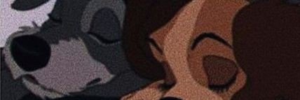 amesey182's profile banner image