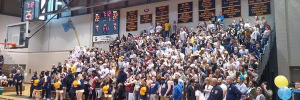 IzziMetz Profile Banner