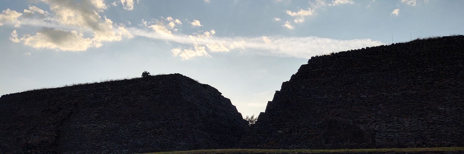 neo_adan's profile banner image