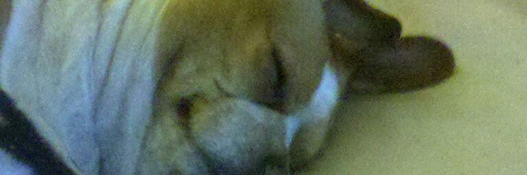 jmastersuite's profile banner image